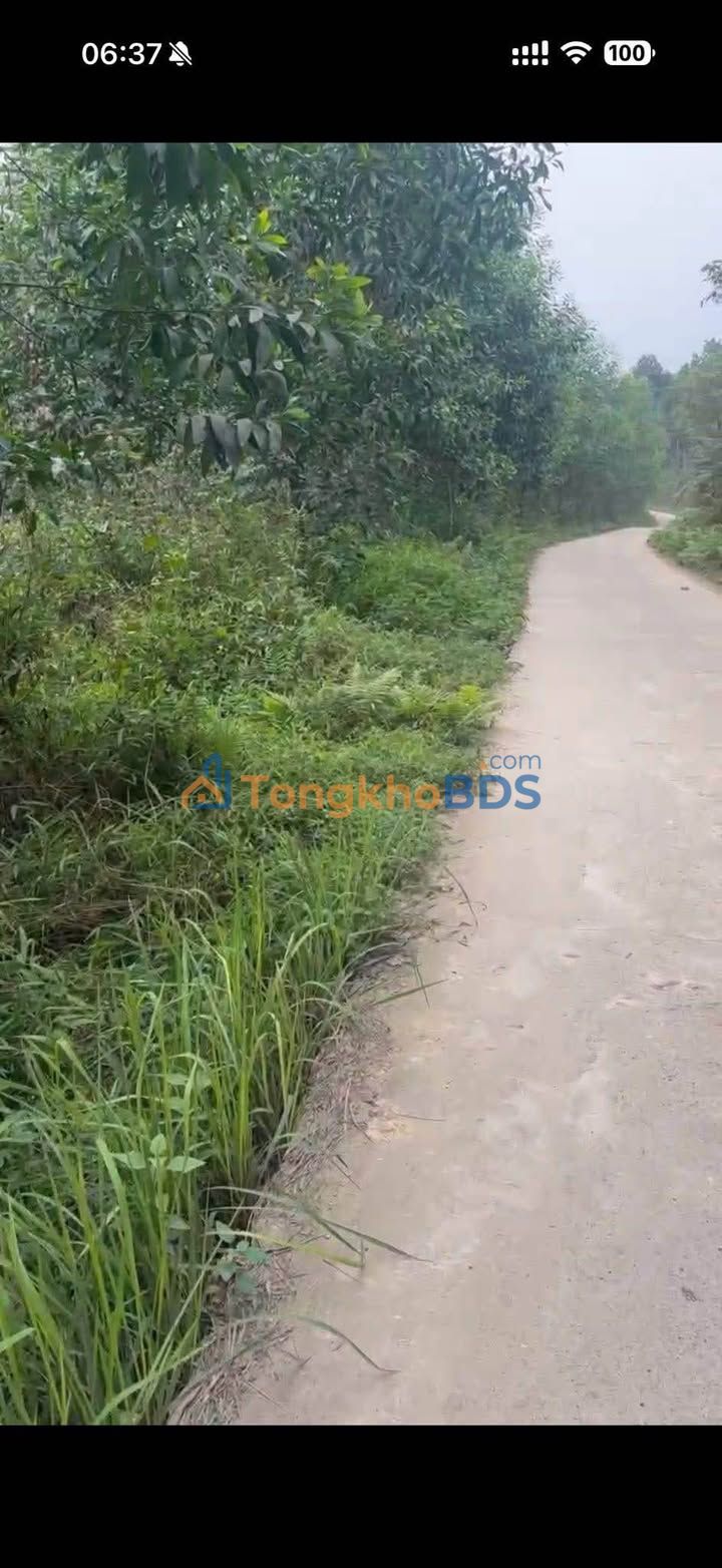 Bán Đất Rừng & Thổ Cư 15000m² - Đồng Hỷ, Thái Nguyên