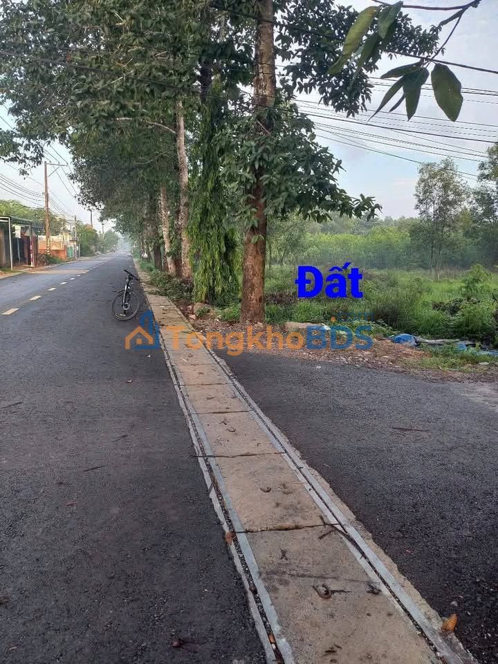 Đất nền 116m² Tân Hiệp, Long Thành - Góc 2 mặt tiền, đường to, giá 2.55 tỷ