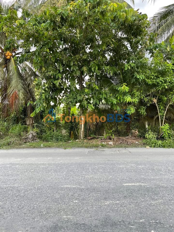 Đất Mặt Tiền DT864 Cai Lậy 174m² - Kinh Doanh, Ở Thoải Mái