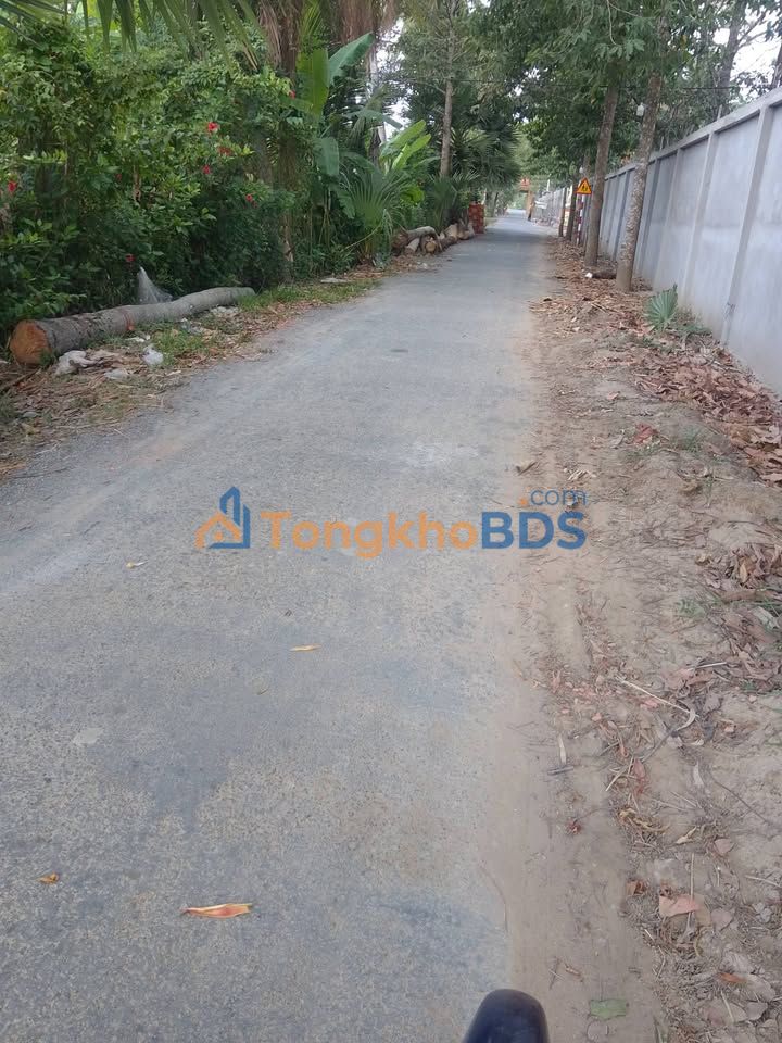 Bán Đất Mặt Tiền Nhựa 900m² Trà Cú, Trà Vinh - Giá 540 Triệu