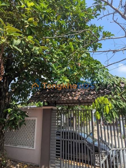 Bán Gấp Nhà Vườn Phú Hòa Đông, Củ Chi - 496m² Sổ Hồng Riêng