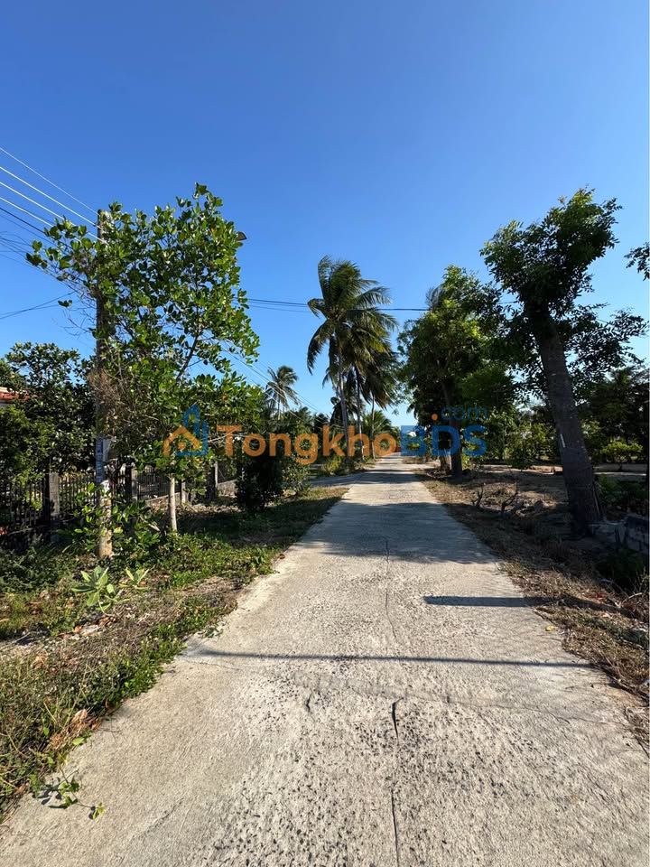 Đất Full Thổ Cư 289m² Mặt Tiền Hẻm 3m - Gần Biển Cam Bình, La Gi