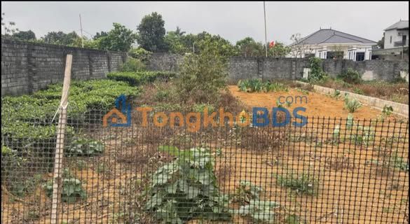 Đất Nền Nghỉ Dưỡng Ba Vì 625m² - Sổ Hồng Riêng, Lô Góc View Thoáng