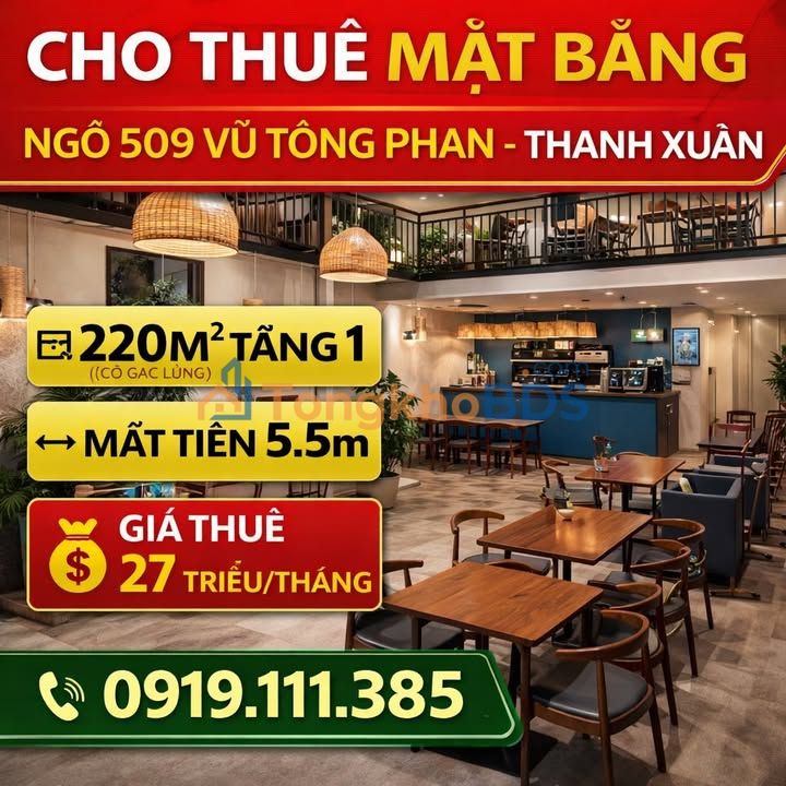 Mặt Bằng Kinh Doanh 220m² Vũ Tông Phan, Thanh Xuân - Sẵn Sàng Vận Hành