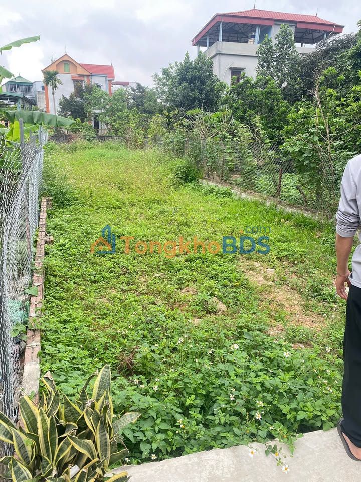 Đất nền 124m² Thạch Thất - Sổ hồng sẵn, ô tô vào tận nơi