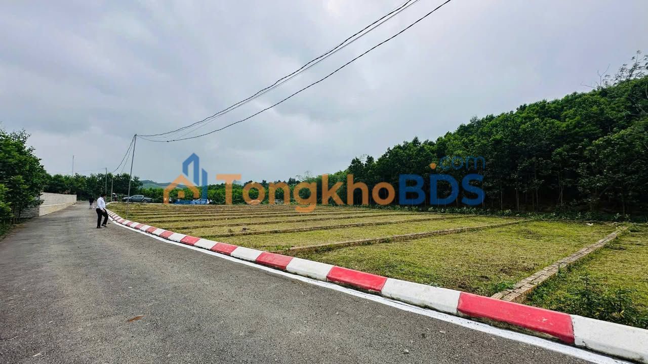 Đất nền Nho Quan, Ninh Bình 84m² giá chỉ 225 triệu - Đầu tư đón đầu quy hoạch