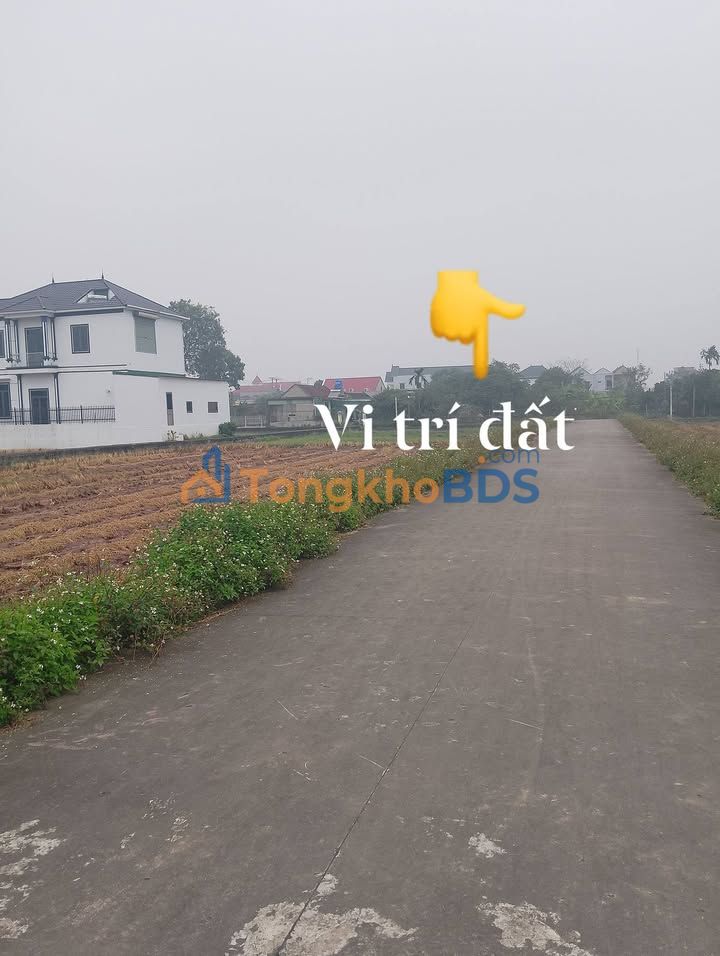 Đất nền Kim Sơn, Ninh Bình 100m² - Hướng Nam, Sổ hồng thổ cư, Giá tốt