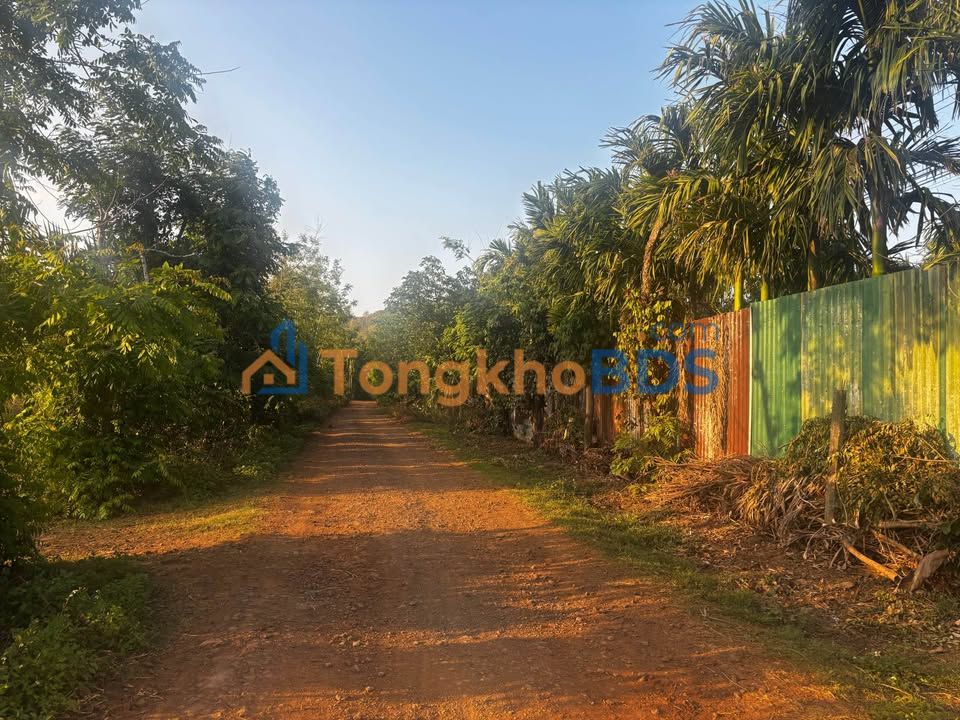 Đất Thổ Cư Cư Suê, Đắk Lắk - Sổ Đỏ Sẵn, Giá Tốt 10 Ngày!