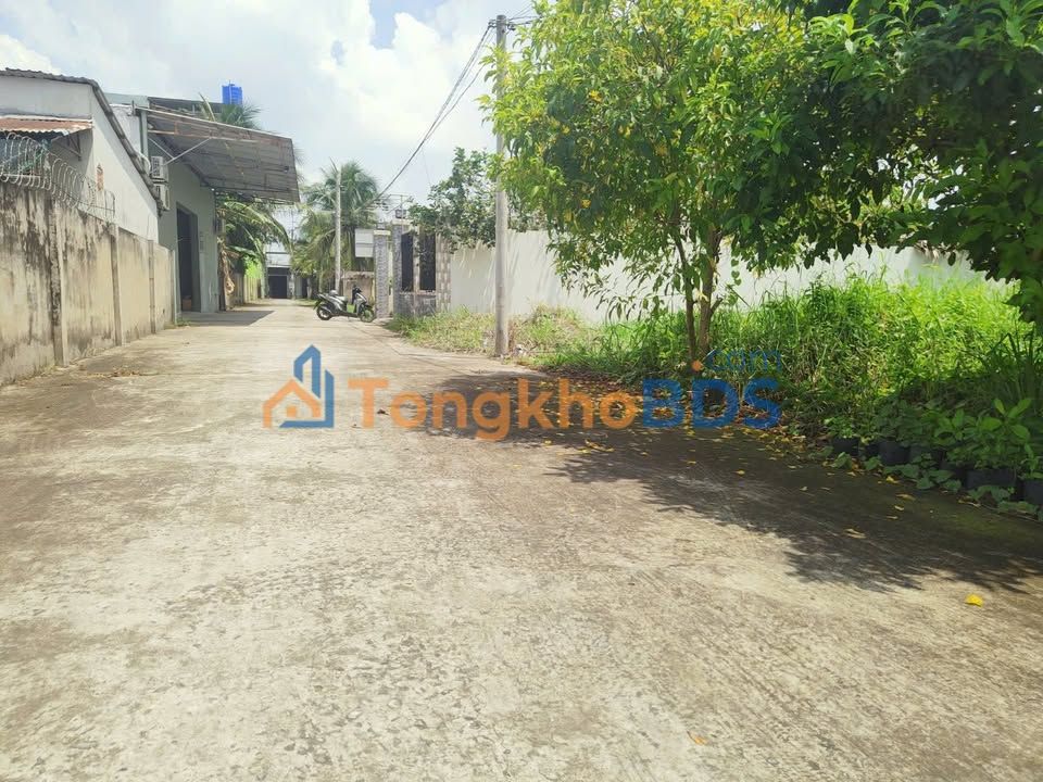Đất thổ cư 155m² Phú Khương, Bến Tre - Sổ đỏ sẵn sàng, ô tô tới đất