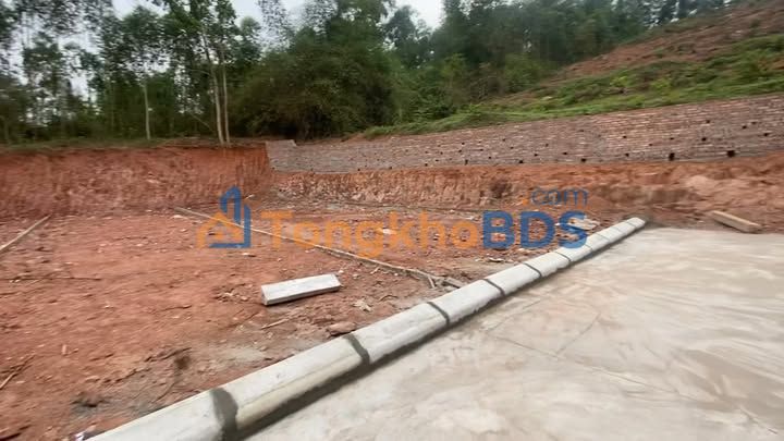 Đất nền Cao Thượng, Bắc Giang 300m² - Giá F0 đầu tư