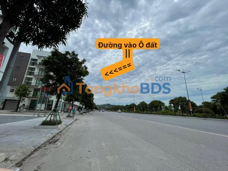 Bán Đất Nền Biệt Thự Xanh Hà Khẩu Hạ Long - 175m² Hướng Tây Bắc