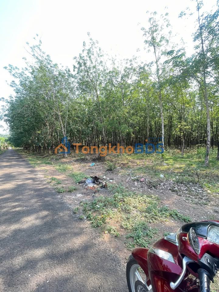 Đất Nền Tiến Hưng, Đồng Xoài 150m² - Sổ Thổ Cư, Giá Tốt