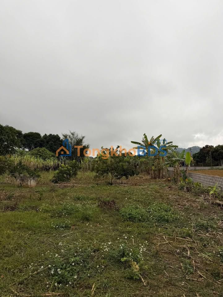 Đất Vườn Hợp Phong, Cao Phong, Hòa Bình 480m² - Mặt Tiền 12m