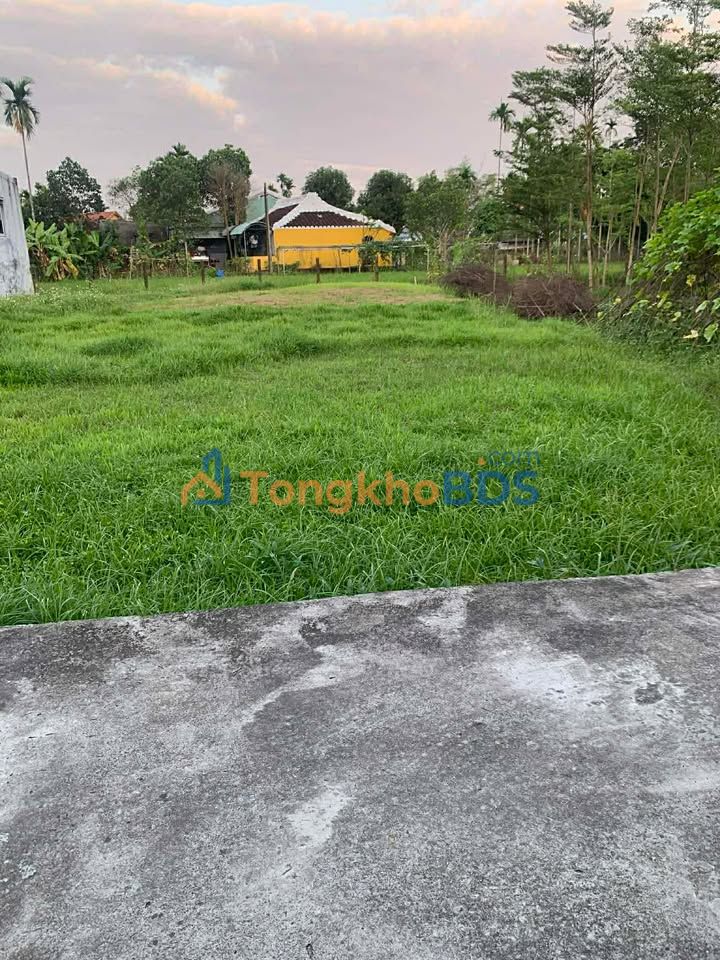 Đất Nền Duy Xuyên 162m² - Sổ Đỏ Thổ Cư, Kinh Doanh Sầm Uất