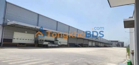 Cho thuê kho xưởng QL18 Chí Linh 3.6ha - Container vào tận cửa, PCCC