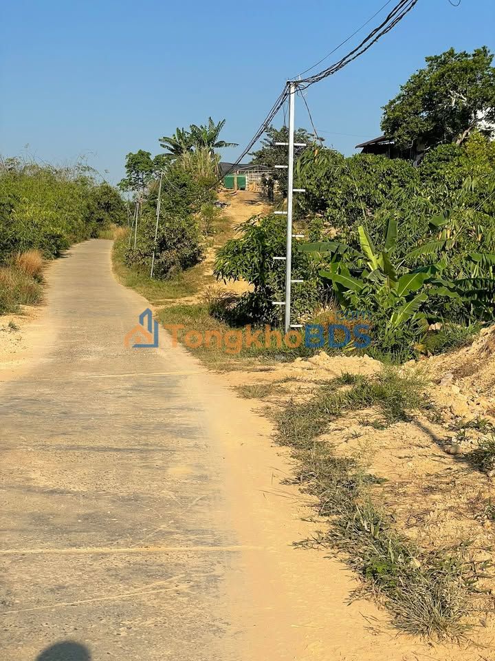 Bán Gấp Đất Vườn Đà Lạt 14.000m² - Sổ Đỏ Thổ Cư, Mặt Tiền Bê Tông