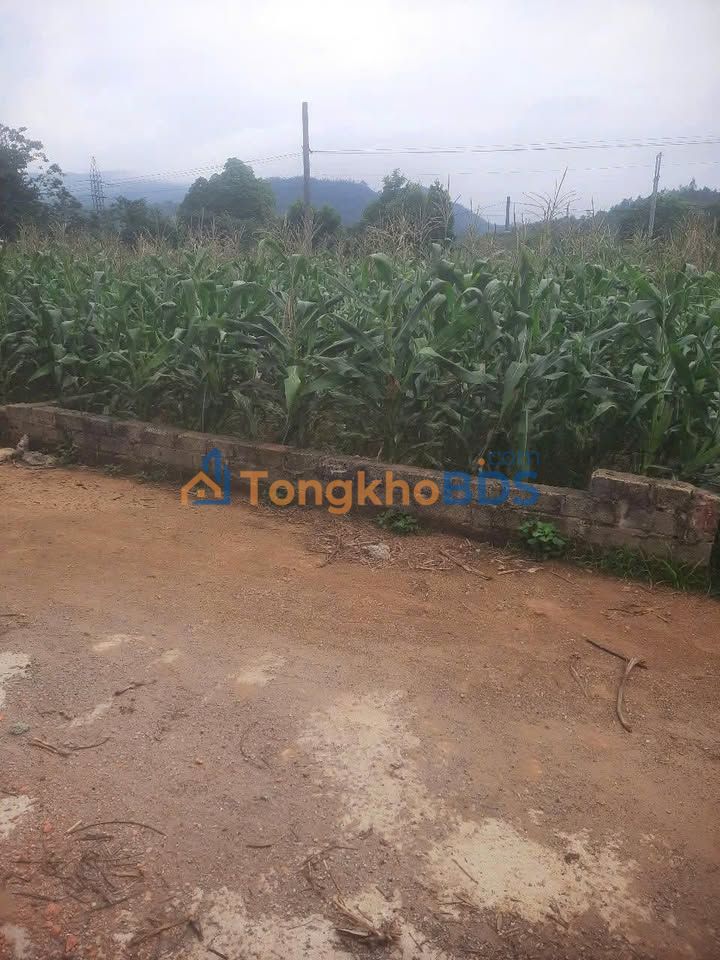 Đất Nền Hòa Sơn Lương Sơn 95m² Sổ Đỏ Full Thổ Cư - Giá Đầu Tư 1.9 Tỷ