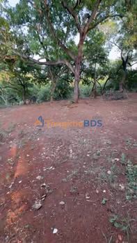 Bán Đất Vườn Điều 5.5ha Đẹp Tại Bù Đăng, Bình Phước - Giá Đầu Tư 74.25 Tỷ