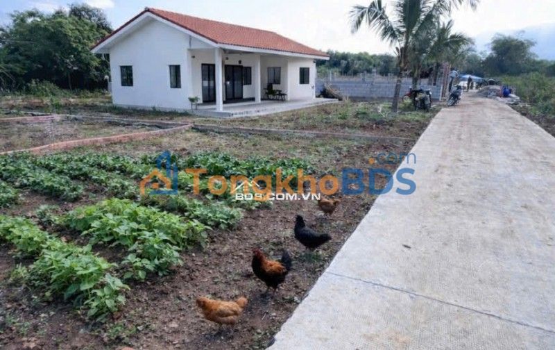 Đất Bảo Vinh 500m² 750 triệu - Sổ đỏ chính chủ