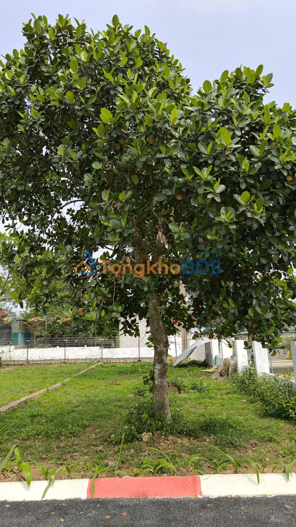 Đất nền An Bình, Lạc Thủy 90m² 225 triệu - Sổ đỏ chính chủ