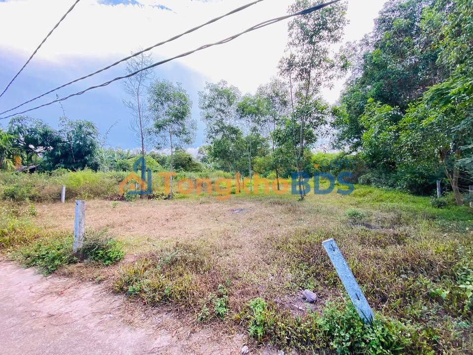 Đất Nền Mỏ Cày 225m² - Sổ Đỏ Thổ Cư, Giá Tốt 300 Triệu