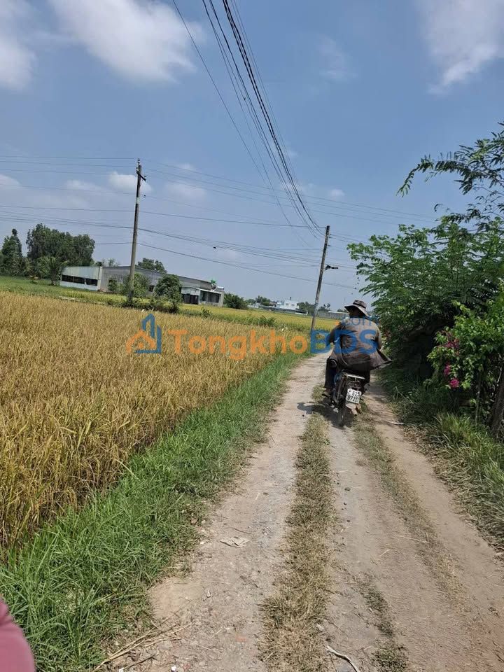 Đất nền Mỹ Hạnh Nam 140m² 7.02 tỷ - Sổ đỏ chính chủ