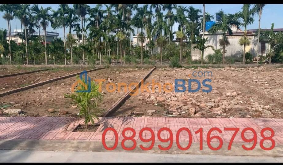 Đất Thổ Cư 100m² Trung Hòa - Sổ Đỏ Chính Chủ - Gần ĐH Quốc Gia