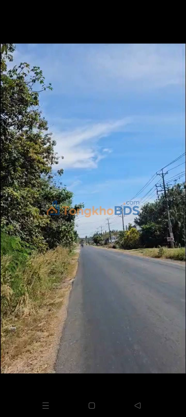 Đất Mặt Tiền Nguyễn Thị Lan Tân Biên - 4460m² - Giá Đầu Tư 7x Triệu/m²