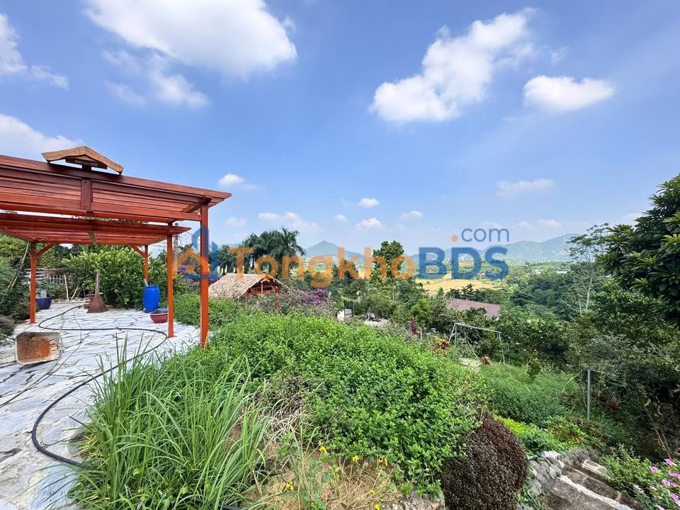 Đất nền Tân Xã Thạch Thất 1.000m² - Sổ đỏ chính chủ