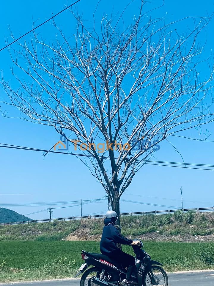 Nhà Võ Văn Dũng Tuy Hòa 90m² 3.27 tỷ - Ô tô vào tận nhà