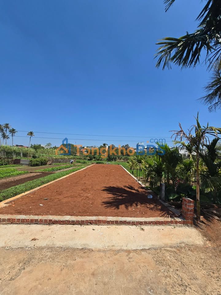 Đất Nền Hẻm 40 Lương Thế Vinh, Đắk Lắk - 100m² Giá 2.2 Tỷ, Sổ Đỏ Sẵn Sàng