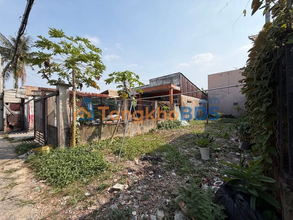 Đất Bình Quới Bình Thạnh 100m² 2 tỷ - Sổ đỏ chính chủ