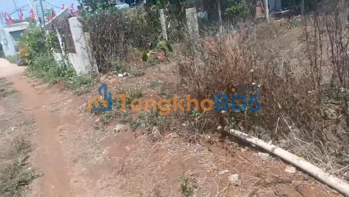 Đất Nền Gia Lai 892.5m² Sổ Hồng Riêng - Giá 1 Tỷ XXX - Gần TT