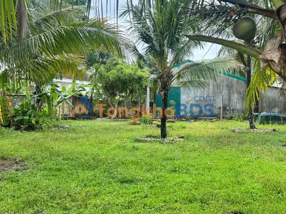 Đất nền Bồng Sơn 144m² 300-399 triệu - Sổ đỏ chính chủ