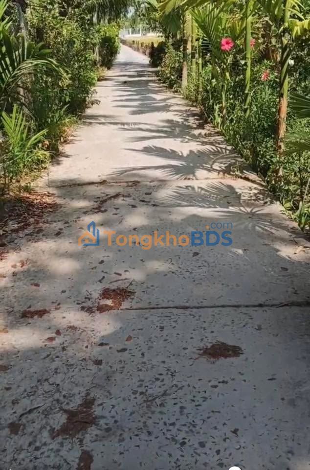 Đất Vĩnh Long P5 1.263m² 1.8945 tỷ - Đường ô tô vào tận nơi