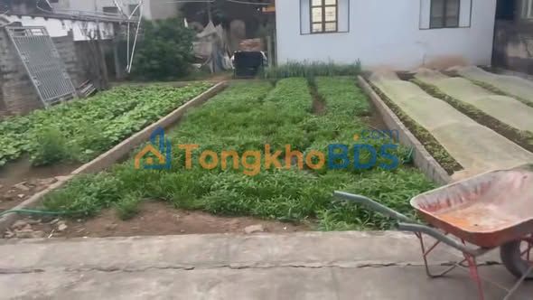 Đất nền Hồng Vân Thường Tín 65m² 5 tỷ - Sổ đỏ chính chủ