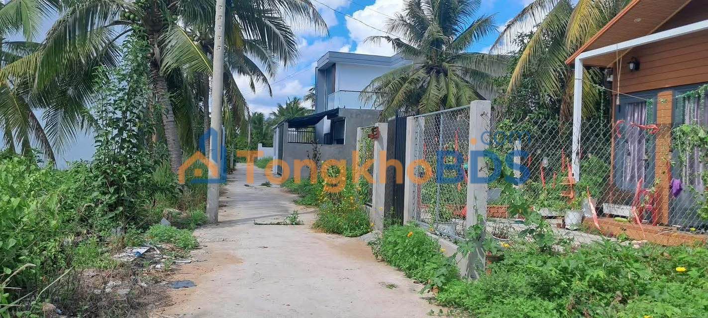 Đất nền Sơn Đông Bến Tre 195m² 600 triệu - Sổ đỏ