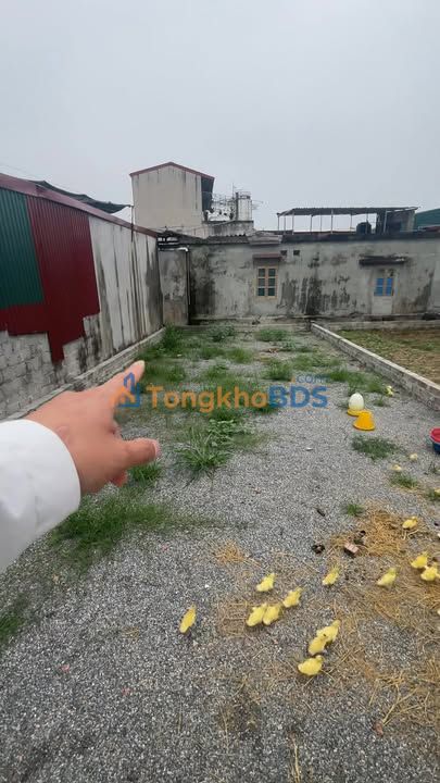 Đất nền Nghiêm Xuyên Thường Tín 90m² 5.1 tỷ - Sổ đỏ chính chủ