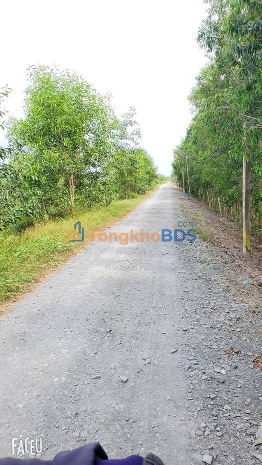 Đất vườn Bến Lức 1.753m² giá 1,29 tỷ - Đường ô tô vào thẳng