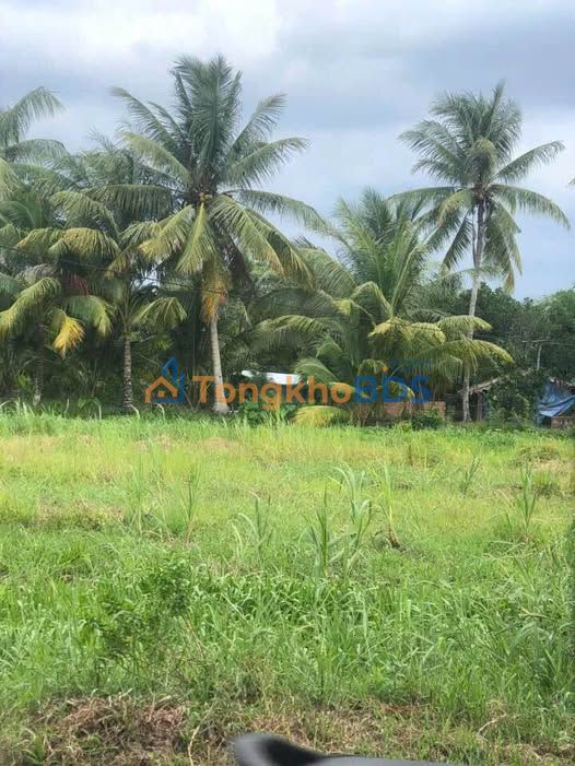 Đất Vĩnh Long 122m² Mặt Tiền Đường Huyện 36 - Sổ Riêng, Gần UBND Xã