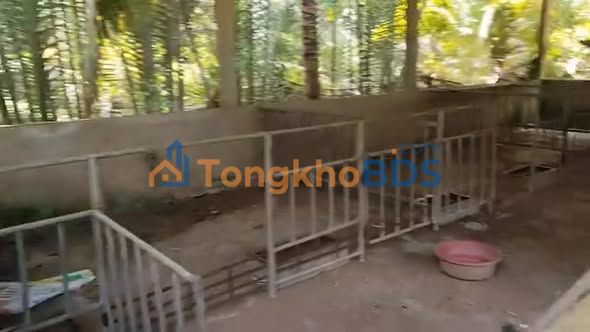 Đất nền TTC Tân Thành Bình 1.853m² 2 tỷ - Sổ đỏ chính chủ