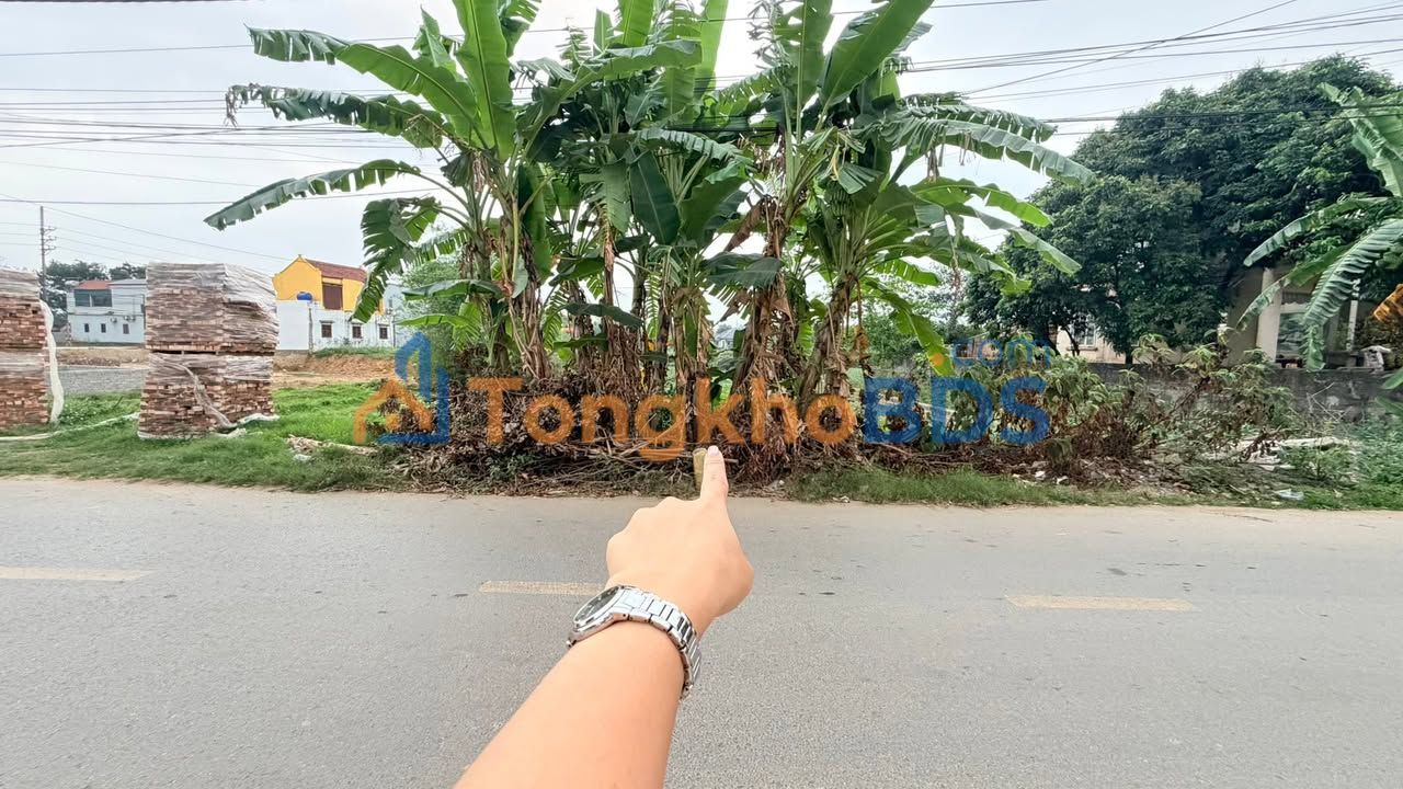 Đất Liên Xã Ba Vì 125m² thỏa thuận - Đường to ô tô