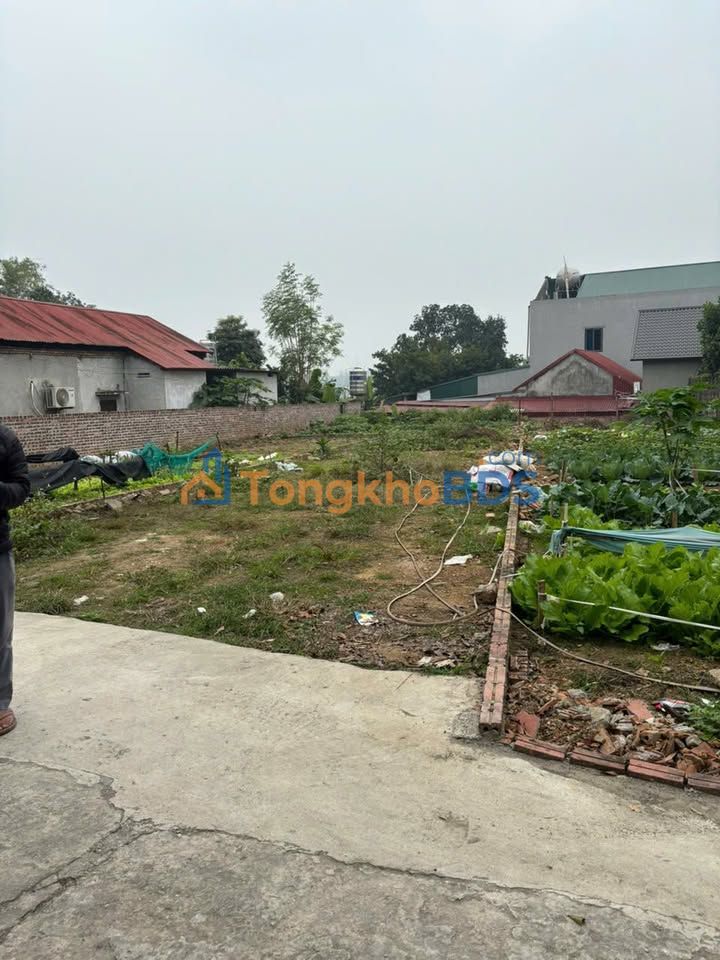 Đất nền Liên Minh Quảng Oai 200m² thỏa thuận - Sổ đỏ chính chủ