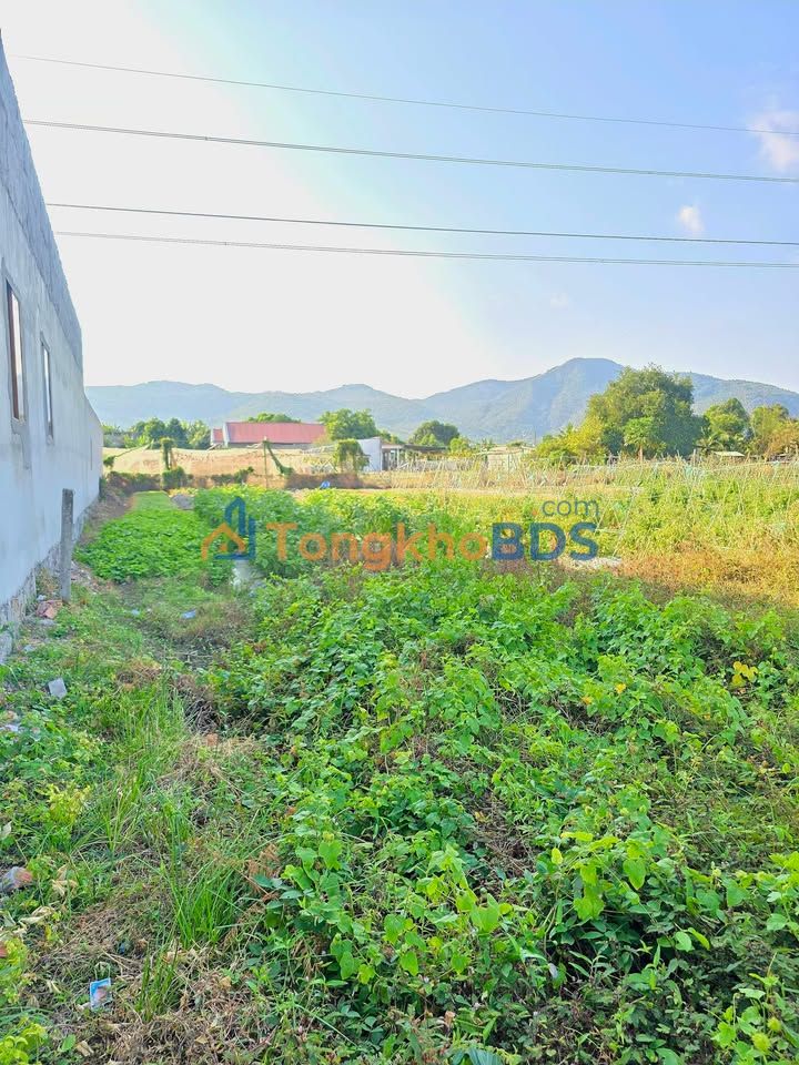 Đất nền Long Hương Bà Rịa 2.728m² 2.7 tỷ - Sổ đỏ chính chủ