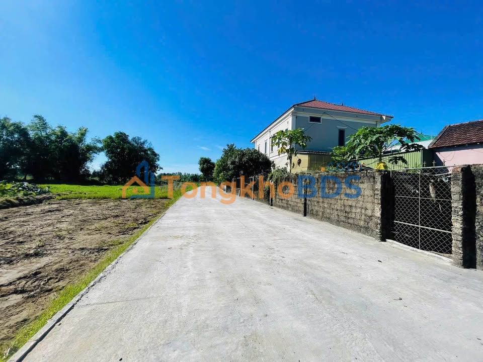 Bán đất Nghiêm Xuyên, Thường Tín 77m² - Đường ô tô tránh, giá 2.x tỷ