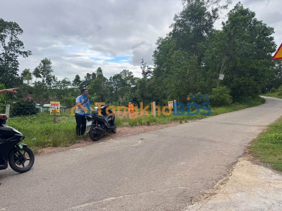 Đất nền Tam Thai Huế 120m² 1.86 tỷ - Sổ đỏ chính chủ