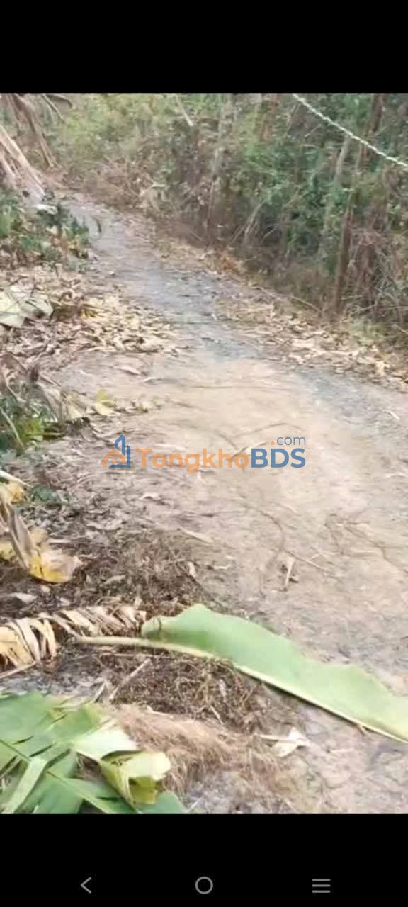 Đất Vườn 36.000m² Đồng Tháp - Mặt Tiền Sông Lớn, Giá Đầu Tư 147 Tỷ