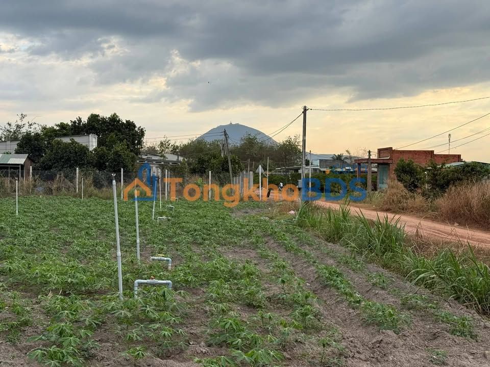 Đất vườn Tân Phú Tân Châu 3.200m² 1,05 tỷ - Sinh thái xanh