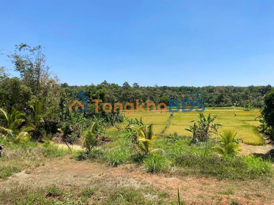 Đất Vườn Nghỉ Dưỡng 741m² Tại Buôn Ma Thuột - View Đồng Quê Thoáng Đãng