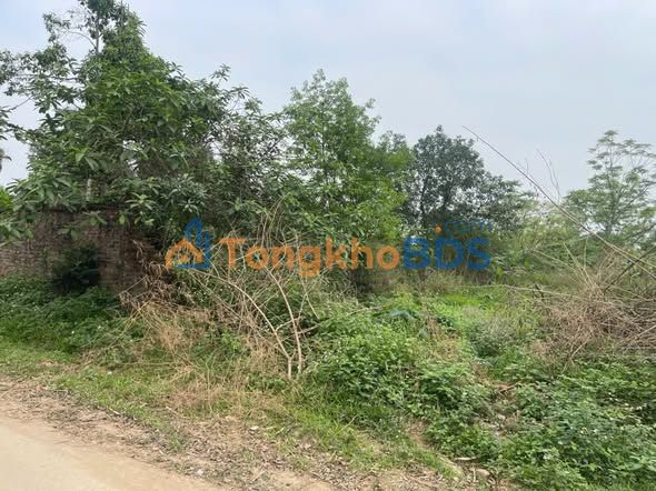 Đất Vườn Xuân Mai - Chương Mỹ 3736m² - Sổ Đỏ Rõ Ràng